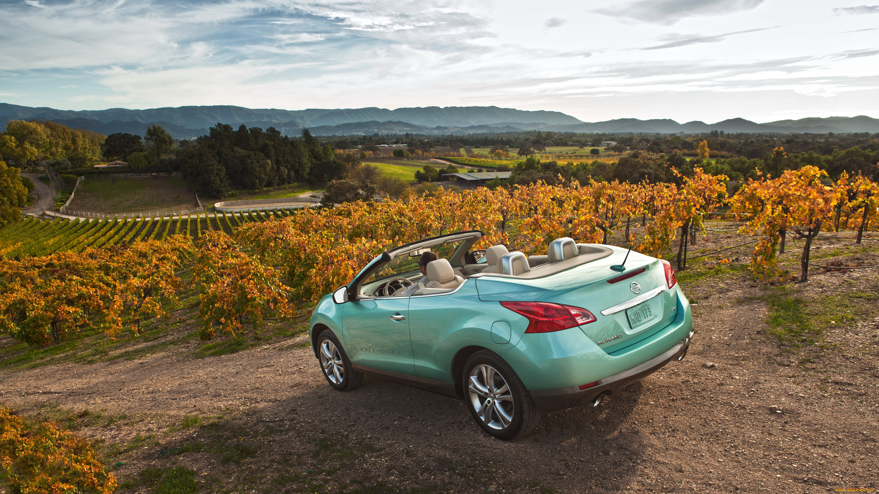 2011, nissan, murano, crosscabriolet, , datsun